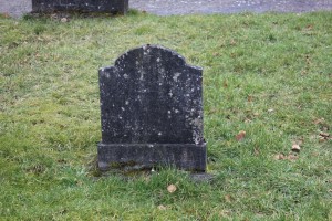 Frehill Tom Clooncheevers